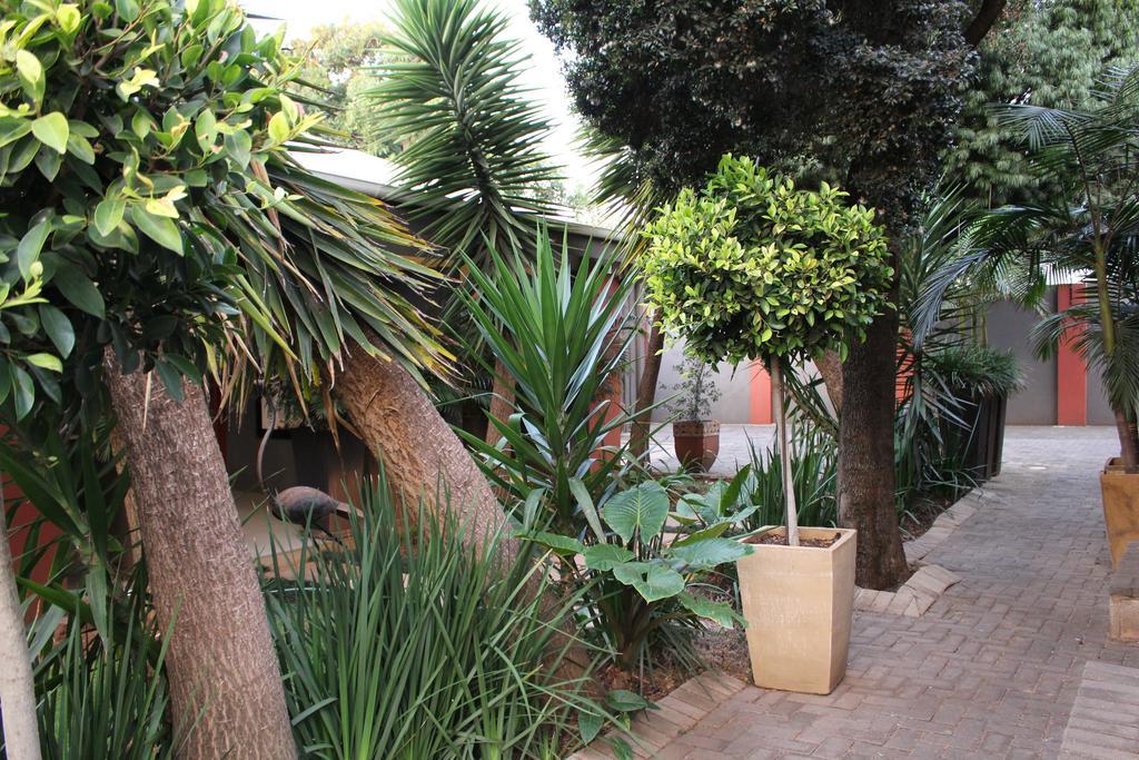 Saffron Guest House Johannesburg Exterior foto
